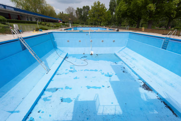 Best Basement water damage restoration  in Kitsap Lake, WA