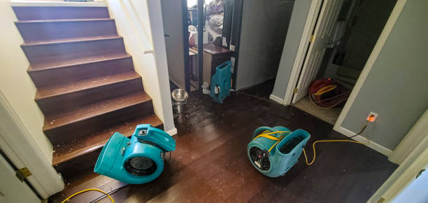 Carpet water damage restoration in WA