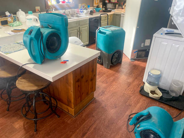 Best Sewage cleanup and water damage restoration  in Kitsap Lake, WA