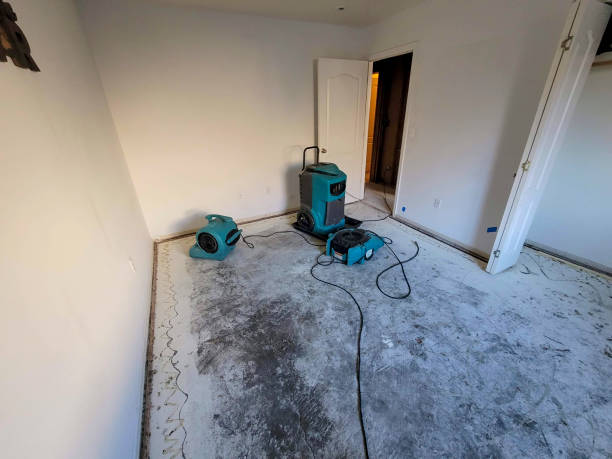 Best Flood damage cleanup  in Kitsap Lake, WA
