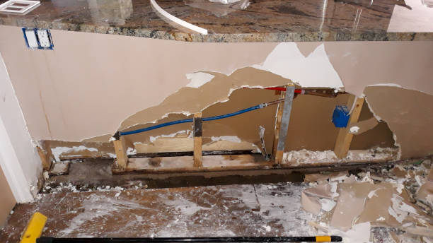 Best Water damage restoration near me  in Kitsap Lake, WA