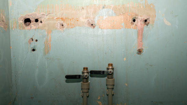 Best Carpet water damage restoration  in Kitsap Lake, WA